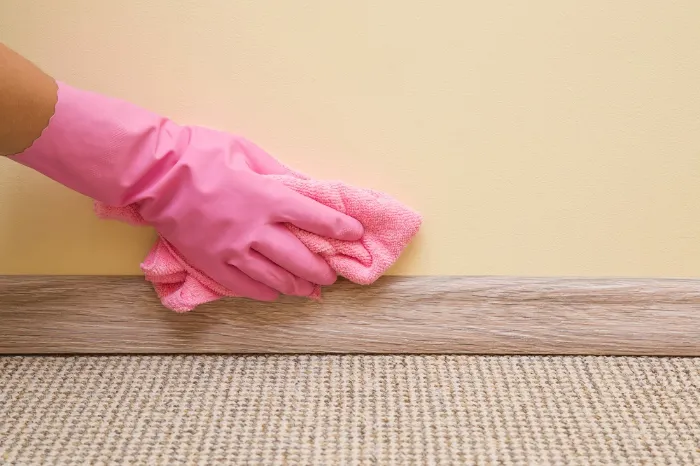 All Fresh Handyman & Cleaning Services's Other Services
