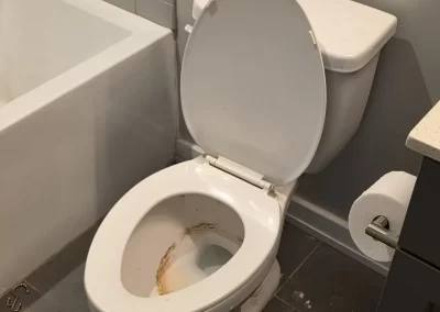 Quality Handyman Services