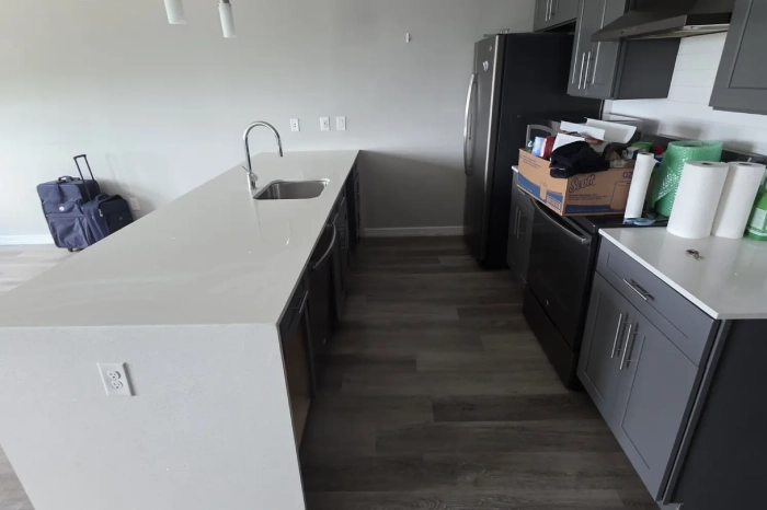 Move-In Cleaning Service